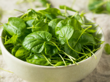 Adeus agrião amargo: essa é a melhor forma de tirar o sabor indesejado por muitos dessa verdura que todo mundo deveria comer