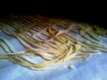 Macarrão (massa caseira)