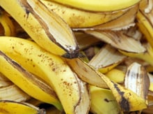 Polvilhei sal na casca de banana - não consigo deixar de me maravilhar com a minha engenhosidade: o truque perfeito para os preguiçosos de verdade