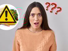 O que ninguém fala sobre os vegetais: 10 efeitos colaterais inesperados que você precisa conhecer