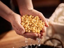 O grão barato que tem mais proteína que a carne e você deveria comer todo dia