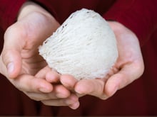 Ninho de passarinho comestível: uma diferente iguaria chinesa