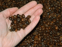 Grãos de baixa qualidade e mofados: operação apreende mais de 2 toneladas de café irregular no Rio de Janeiro