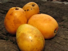 Essa fruta tropical rica em vitamina C combate inflamações e previne doenças do coração; veja como aproveitar em casa