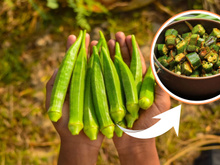 Da horta direto para a cozinha: plantar quiabo em casa é mais fácil do que você pensa!