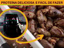 Coração de galinha na airfryer pra variar a proteína no cardápio da semana