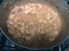 Estrogonofe especial