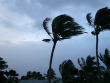 Especialistas em meteorologia alertam: não faça isso em caso de ventos fortes e veja como manter a casa segura