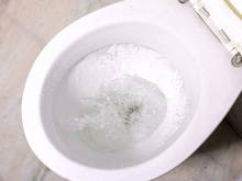 Por que você não deve dar descarga mais uma vez quando o vaso sanitário estiver enchendo? O TudoGostoso tem a resposta!