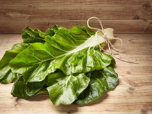 Acelga: os principais benefícios desse vegetal e como prepará-lo