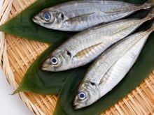 Especialistas em longevidade concordam: "Os peixes mais saudáveis ​​e nutritivos são as sardinhas"