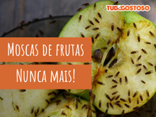 Elimine os mosquitinhos de fruta da cozinha com apenas dois ingredientes. É muito fácil!