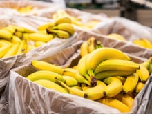 Por que os funcionários do supermercado deixam esses saquinhos plásticos nas caixas de banana – e por que você também não deve jogá-los fora