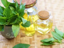 Pare de desperdiçar suas folhas de manjericão: aqui está uma ideia perfeita se você tiver alguma sobra