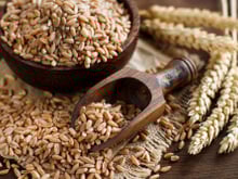 Farro: conheça os principais benefícios desse grão