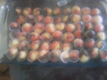 Bolinhas Tricoloridas