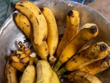 Tem problema comer banana madura demais? TudoGostoso tira dúvida e conta se é melhor amarela ou verde