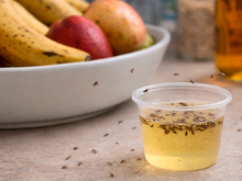 Vou te ensinar a fazer um para-raio de mosquito de banana usando vinagre de maçã