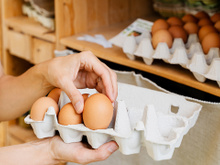 Os ovos de galinha não são mais cozidos em água. O novo método é muito mais prático
