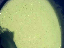 Mousse de limão