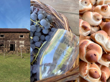 Vinícola na Serra Gaúcha tem videira com mais de 100 anos, pão colonial e cenário de filme indicado ao Oscar