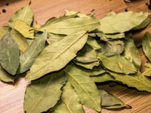 Você tem folha de louro em casa e não aproveita seus benefícios surpreendentes ao máximo