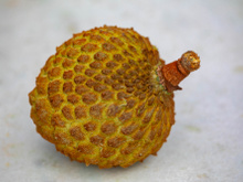 Nem jaca, nem graviola: essa fruta do Cerrado é rica em vitamina C, repleta de antioxidantes e até Patrimônio Cultural