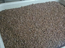 Bolo de chocolate prático