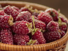 Conheça 5 frutas híbridas e saiba mais sobre elas