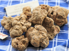 Comidas mais caras do mundo