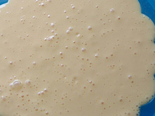 Mousse de Manga com Maracujá
