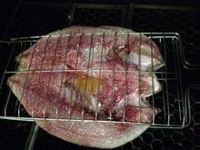 Tainha espalmada no forno