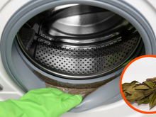 Por que as pessoas estão colocando folhas de louro na máquina de lavar?