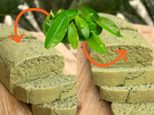 Pão de ora-pro-nobis de poucos ingredientes: você escolhe se faz a receita vegana COM OU SEM GLÚTEN