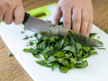 O que acontece com o corpo de você comer 10 folhas de ora-pro-nóbis por dia?