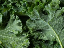 Este é o vegetal que fornece mais cálcio do que um copo de leite e mais vitamina C e antioxidantes do que a laranja