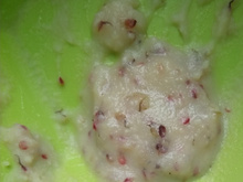 Creme de amora