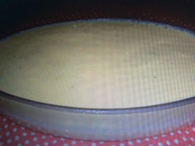Mousse de maracujá