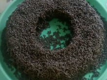 Brigadeirão de microondas