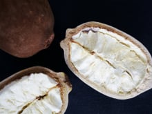 Ingredientes do Norte: saiba mais sobre 5 deles e como utilizá-los