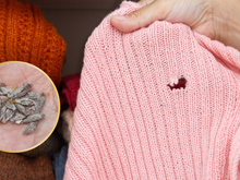 Adeus, traças! Usei esse truque da vovó que acabou com as traças do meu armário (elas sumiram me menos de um dia)