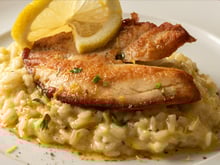 Risoto com camarão e peixe frito que fica pronto em 8h bomba na web, mas TudoGostoso ensina uma receita muito mais rápida!