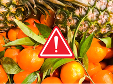 A fruta brasileira com maior teor de agrotóxicos, segundo a Anvisa