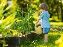 Esses são os melhores truques de jardineiros para evitar a queda prematura das folhas em suas plantas