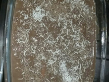 Pavê branco e preto