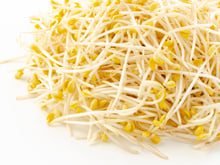 Benefícios do broto de feijão: o que acontece com o seu corpo ao ingerir moyashi todos os dias e descubra se pode comê-lo cru