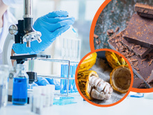 O que os cientistas estão tramando para evitar o fim do chocolate?