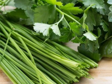 Nunca mais jogue cheiro-verde fora: esse é o segredo para conservar o tempero por até seis meses sem precisar congelar