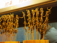 Comidas exóticas pelo mundo: conheça 10 pratos peculiares