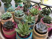 Dia das Mães: 6 ideias de presentes para elas